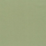 Английская ткань Designers Guild, коллекция Aquarelle, артикул FDG2196/24