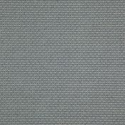 Английская ткань Designers Guild, коллекция Birkett, артикул FDG2792/02