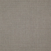 Английская ткань Designers Guild, коллекция Birkett, артикул FDG2793/06