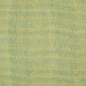 Английская ткань Designers Guild, коллекция Birkett, артикул FDG2795/01