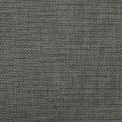 Английская ткань Designers Guild, коллекция Birkett, артикул FDG2799/10