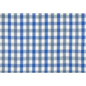 Английская ткань Designers Guild, коллекция Brera quadretto, артикул F1887/05