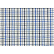 Английская ткань Designers Guild, коллекция Brera quadretto, артикул F1888/05