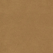 Английская ткань Designers Guild, коллекция Brinzio, артикул FDG3231/03