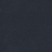 Английская ткань Designers Guild, коллекция Brinzio, артикул FDG3231/18