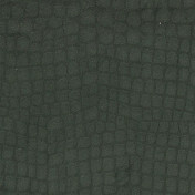 Английская ткань Designers Guild, коллекция Kalahari, артикул FDG2166/03