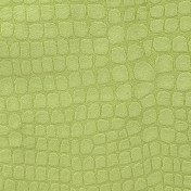 Английская ткань Designers Guild, коллекция Kalahari, артикул FDG2166/10