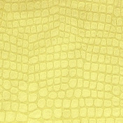 Английская ткань Designers Guild, коллекция Kalahari, артикул FDG2166/11