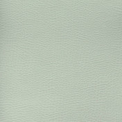 Английская ткань Designers Guild, коллекция Kalahari, артикул FDG2167/16