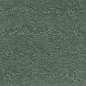 Английская ткань Designers Guild, коллекция Kalahari, артикул FDG2167/19