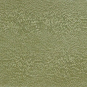 Английская ткань Designers Guild, коллекция Kalahari, артикул FDG2167/20