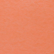 Английская ткань Designers Guild, коллекция Kalahari, артикул FDG2167/22