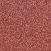 Английская ткань Designers Guild, коллекция Kalahari, артикул FDG2167/23