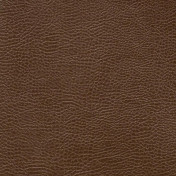 Английская ткань Designers Guild, коллекция Kalahari, артикул FDG2167/35