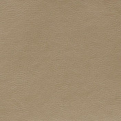 Английская ткань Designers Guild, коллекция Kalahari, артикул FDG2167/36