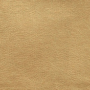 Английская ткань Designers Guild, коллекция Kalahari, артикул FDG2168/03