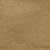 Английская ткань Designers Guild, коллекция Kalahari, артикул FDG2168/04