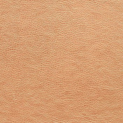 Английская ткань Designers Guild, коллекция Kalahari, артикул FDG2168/05