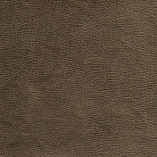 Английская ткань Designers Guild, коллекция Kalahari, артикул FDG2168/06