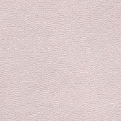 Английская ткань Designers Guild, коллекция Kalahari, артикул FDG2168/08