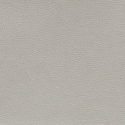 Английская ткань Designers Guild, коллекция Kalahari, артикул FDG2168/10