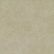 Английская ткань Designers Guild, коллекция Matara IV, артикул FDG3104/02 Английская ткань Designers Guild, коллекция Matara IV, артикул FDG3104/02