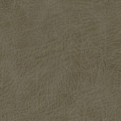 Английская ткань Designers Guild, коллекция Matara IV, артикул FDG3104/09