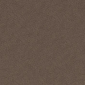 Английская ткань Designers Guild, коллекция Mezzola Luxe, артикул FDG3159/10