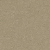 Английская ткань Designers Guild, коллекция Mezzola Luxe, артикул FDG3159/13