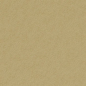 Английская ткань Designers Guild, коллекция Mezzola Luxe, артикул FDG3159/33 Английская ткань Designers Guild, коллекция Mezzola Luxe, артикул FDG3159/33