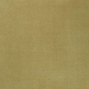 Английская ткань Designers Guild, коллекция Mezzola, артикул F1090/03