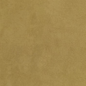 Английская ткань Designers Guild, коллекция Mezzola, артикул F1090/04