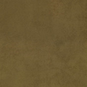 Английская ткань Designers Guild, коллекция Mezzola, артикул F1090/06