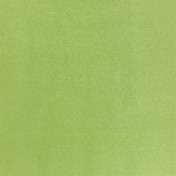 Английская ткань Designers Guild, коллекция Mezzola, артикул F1090/13