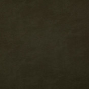 Английская ткань Designers Guild, коллекция Mineral weaves, артикул FDG2727/02