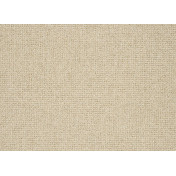 Английская ткань Designers Guild, коллекция Moselle, артикул F1971/01