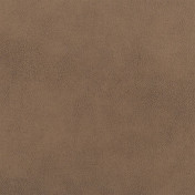 Английская ткань Designers Guild, коллекция Nevada, артикул FDG2538/10