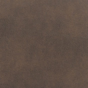 Английская ткань Designers Guild, коллекция Nevada, артикул FDG2538/11