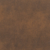 Английская ткань Designers Guild, коллекция Nevada, артикул FDG2538/12