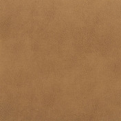 Английская ткань Designers Guild, коллекция Nevada, артикул FDG2538/13