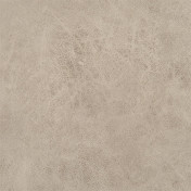 Английская ткань Designers Guild, коллекция Nevada, артикул FDG2539/07