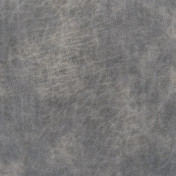 Английская ткань Designers Guild, коллекция Nevada, артикул FDG2540/02