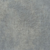 Английская ткань Designers Guild, коллекция Nevada, артикул FDG2540/03