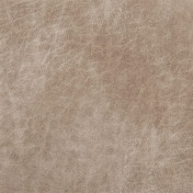 Английская ткань Designers Guild, коллекция Nevada, артикул FDG2540/06