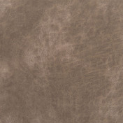 Английская ткань Designers Guild, коллекция Nevada, артикул FDG2540/10