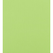 Английская ткань Designers Guild, коллекция Palasari Outdoor, артикул FDG2674/02