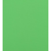 Английская ткань Designers Guild, коллекция Palasari Outdoor, артикул FDG2674/03