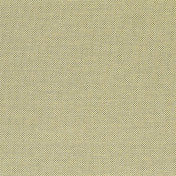 Английская ткань Designers Guild, коллекция Palme Botanique, артикул FDG2869/01