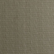 Английская ткань Designers Guild, коллекция Palme Botanique, артикул FDG2870/05