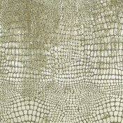 Английская ткань Designers Guild, коллекция Phipps, артикул F1545/05